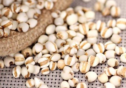 体内湿气重怎样祛除（如何消除体内湿气重怎样祛除）-九图集