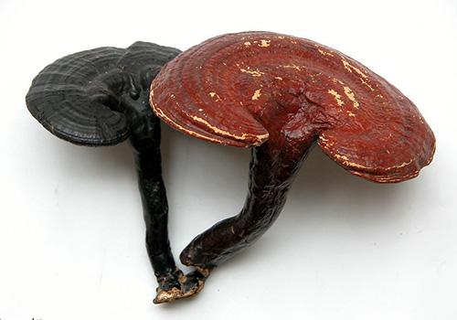 血脂高吃什么好 血脂高吃什么好 18种食物降低你的血脂-九图集