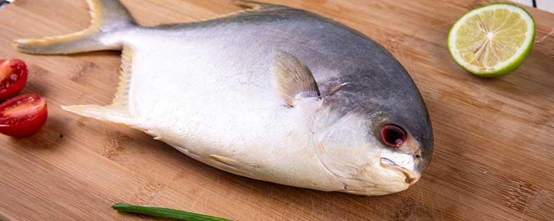 吃什么对骨质疏松好(吃什么对骨质疏松好呢)-九图集