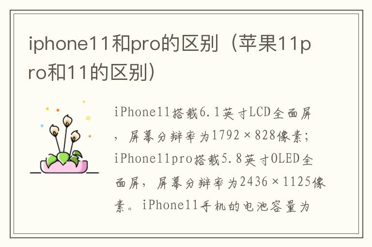 iphone11和pro的区别(苹果11pro和11的区别)