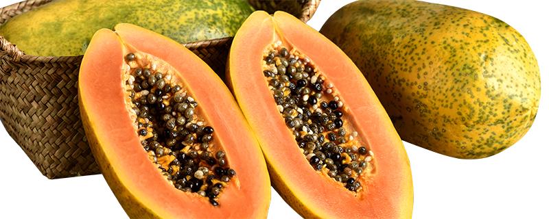 木瓜成熟的季节是几月 木瓜成熟的季节是几月到几月-九图集