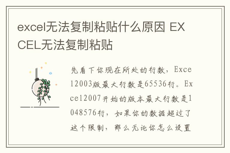 excel无法复制粘贴什么原因 EXCEL无法复制粘贴