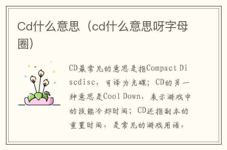 Cd什么意思（cd什么意思呀字母圈）