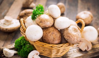 蘑菇怎么保存的时间长一点(蘑菇怎么才能保存时间长一点)