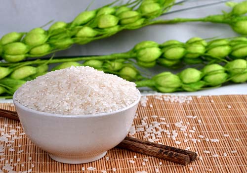 大米的营养价值 大米营养价值