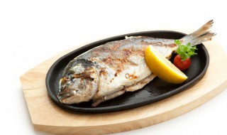 清蒸大白鱼须多长时间 清蒸大白鱼需要蒸多长时间-九图集