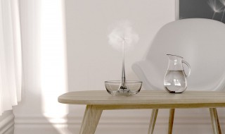 加湿器对身体有哪些害处(加湿器对身体有什么影响)