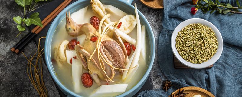 夏天鸽子和什么煲汤好 夏天鸽子和什么煲汤好吃