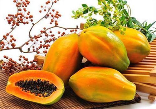吃木瓜有什么好处（经常吃木瓜有什么好处）-九图集