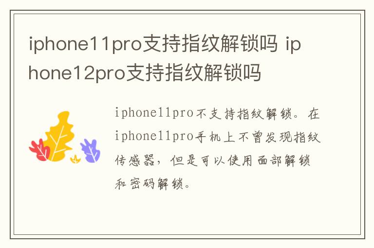iphone11pro支持指纹解锁吗 iphone12pro支持指纹解锁吗-九图集