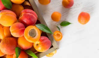 夏天结哪些水果 夏天的水果有