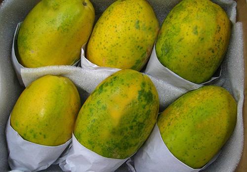 木瓜能生吃吗(没熟的青木瓜能生吃吗)-九图集