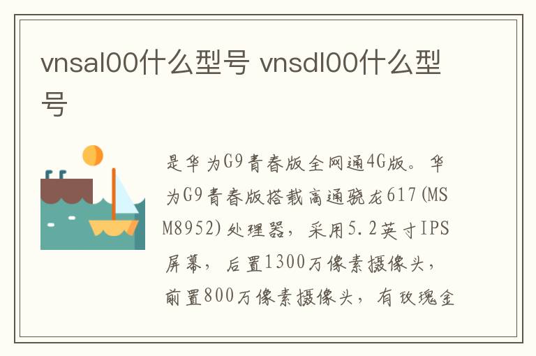 vnsal00什么型号 vnsdl00什么型号
