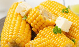 怎么判断玉米是否煮熟 玉米怎么判断有没有煮熟