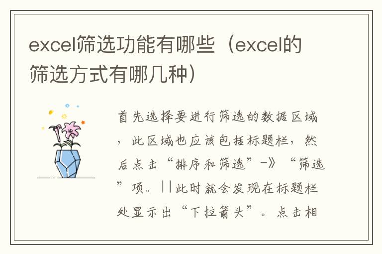 excel筛选功能有哪些(excel的筛选方式有哪几种)