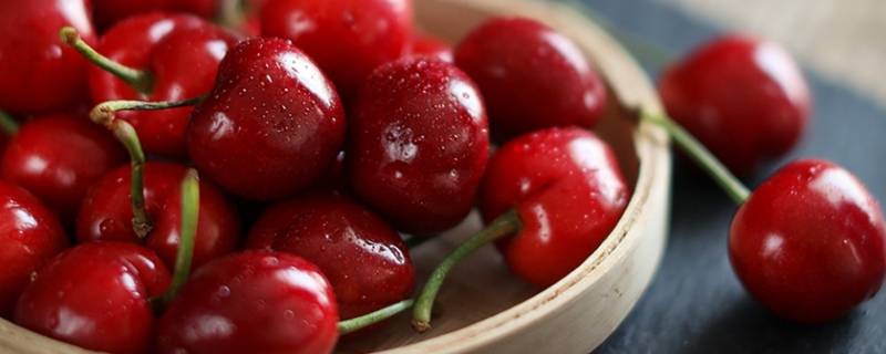 车厘子stella是什么品种（车厘子品种regina）