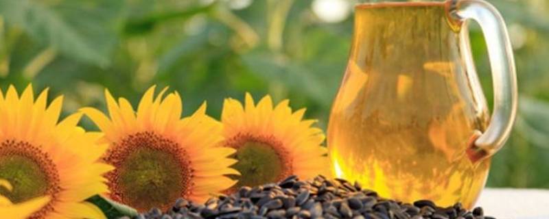 葵花籽油的产品标准号（葵花籽油的产品标准号Q/SFC00135是什么成份）-九图集