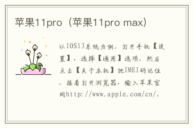 苹果11pro(苹果11pro max)-九图集