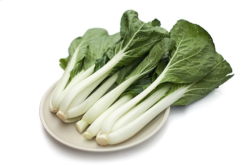 掉头发吃什么好(掉头发吃什么好得快又有效)