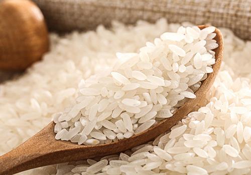 夏天怎样才能防止大米生虫呢（夏天怎样才能防止大米生虫呢呢）-九图集