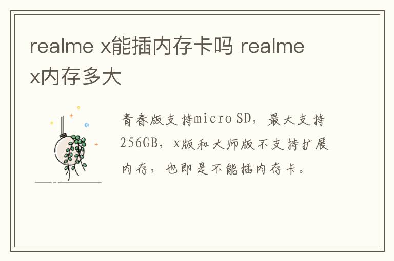 realme x能插内存卡吗 realme x内存多大-九图集
