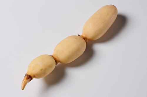 肠胃吸收不好吃什么（肠胃吸收不好吃什么食物）-九图集