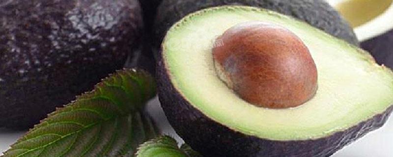 牛油果不能和什么水果一起吃 牛油果不能跟什么一起吃吗-九图集