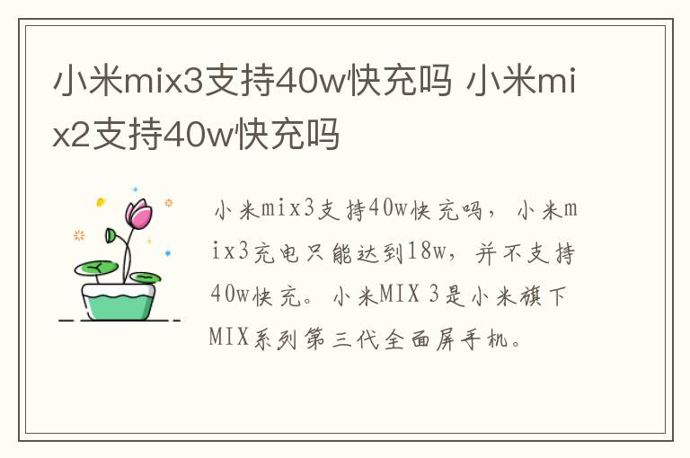 小米mix3支持40w快充吗 小米mix2支持40w快充吗