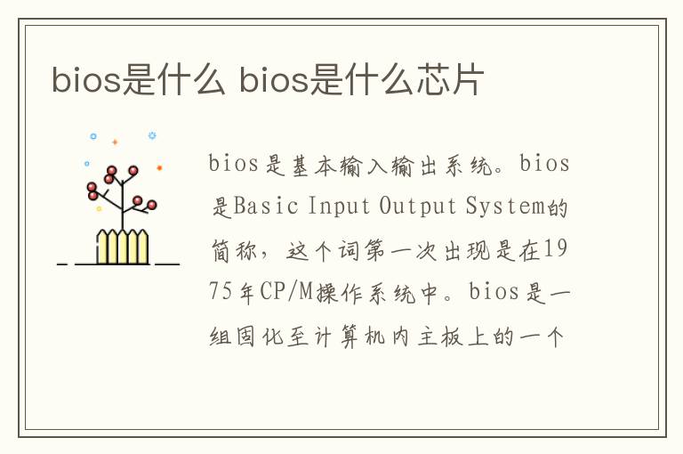 bios是什么 bios是什么芯片-九图集