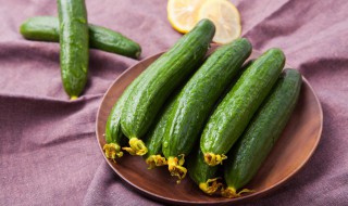 黄瓜如何保存时间长（黄瓜如何保存时间长一点）