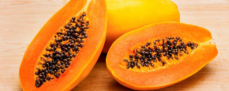 木瓜籽泡水喝有什么作用（木瓜籽可以泡水喝吗有什么功效）-九图集