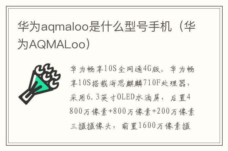 华为aqmaloo是什么型号手机（华为AQMALoo）-九图集