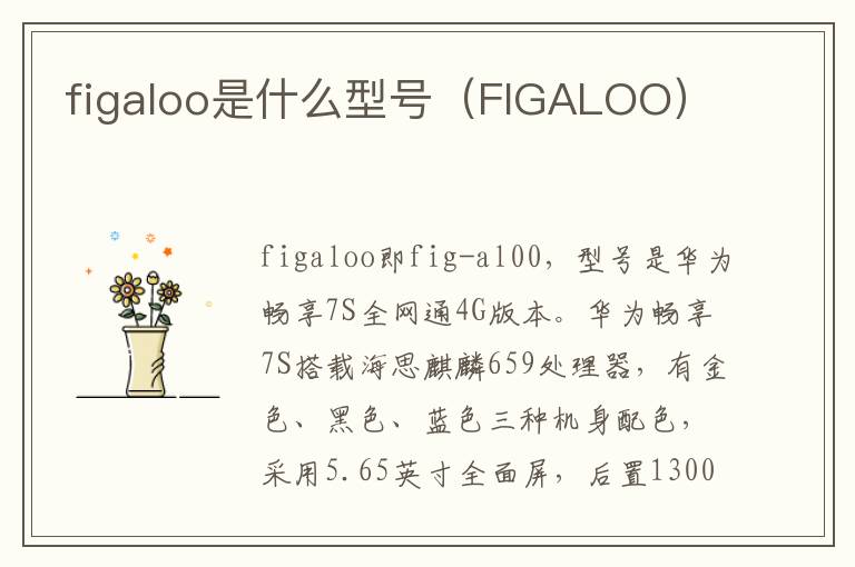 figaloo是什么型号（FIGALOO）