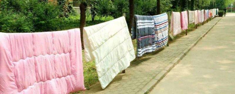 冬至日可以晒被子吗(过冬能晒被子吗)-九图集