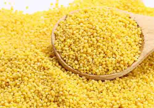 大米小米能一起煮吗（大米小米能一起煮吗?）