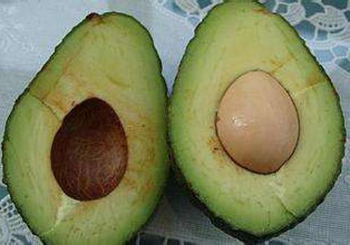 牛油果核有毒吗 牛油果的核有没有毒-九图集