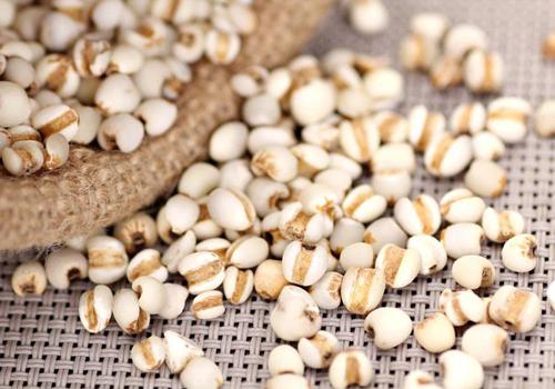 尿酸高血脂高的人吃什么好 尿酸高血脂高的人吃什么好呢-九图集