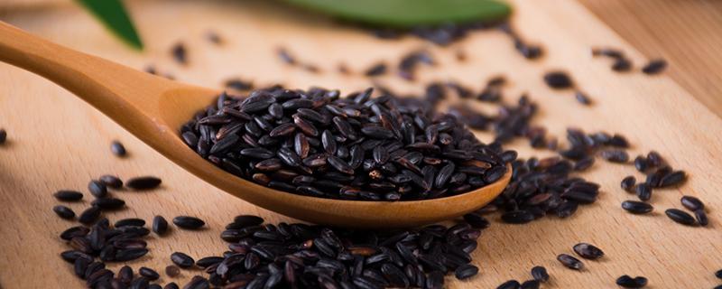 早上如何快速煮黑米粥 早上如何快速煮黑米粥吃-九图集