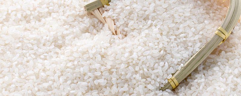 米会过期么（米过期了会怎么样）