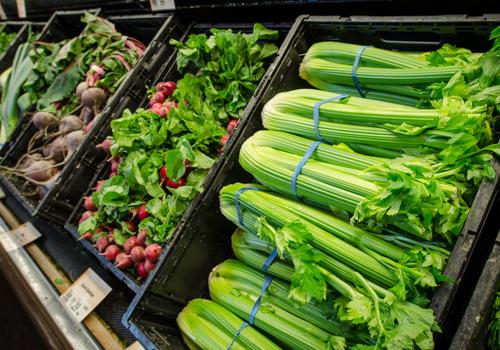 芹菜汁降血压效果好吗 芹菜汁降血压效果好吗吗-九图集