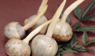 慈菇怎么长时间保存 慈菇放冰箱能保存多久-九图集