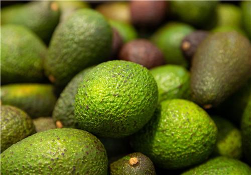 牛油果是什么季节的(牛油果是什么季节的果实)-九图集