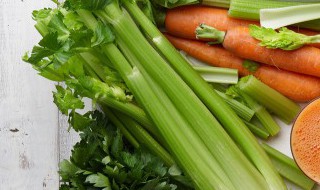 药芹与芹菜的区别(药芹和芹菜是一个意思吗)-九图集