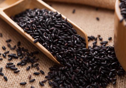 不同的米有什么不一样（不同的米有什么不一样的特点）