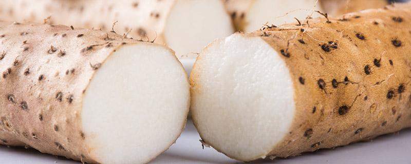 山药到底能不能生吃 山药可不可以生吃?-九图集