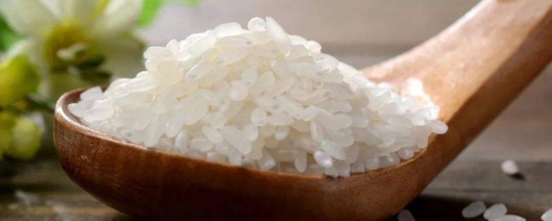 大米应该密封还是不密封（大米放外面没密封行吗）-九图集