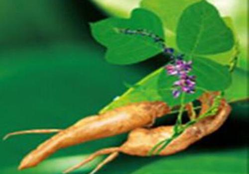 葛根的功效与作用（葛根的功效与作用的功能与主治与用量）-九图集