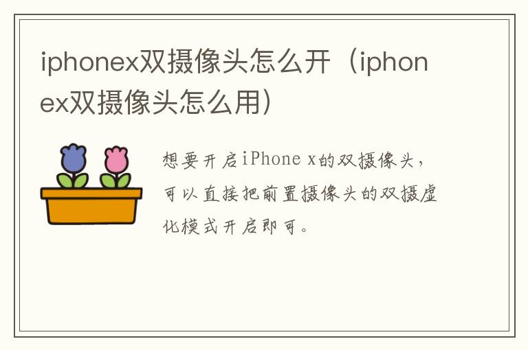 iphonex双摄像头怎么开(iphonex双摄像头怎么用)