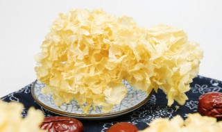 新鲜银耳放冰箱冷冻可以保存多久（新鲜银耳放冰箱冷冻可以保存多久能吃）-九图集