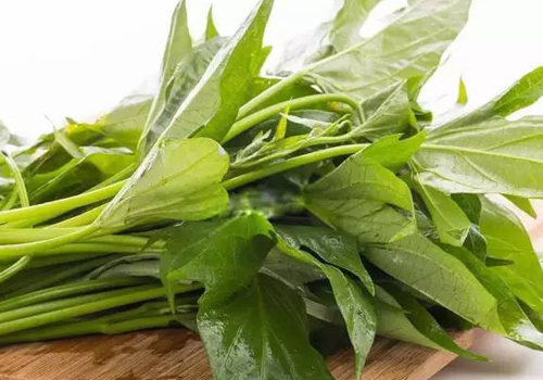 哺乳期可以吃红薯叶吗（哺乳期可以吃红薯叶吗?）-九图集